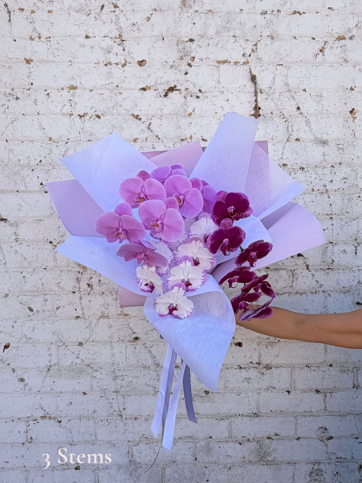 En Masse Cut Stem Orchid Bouquet