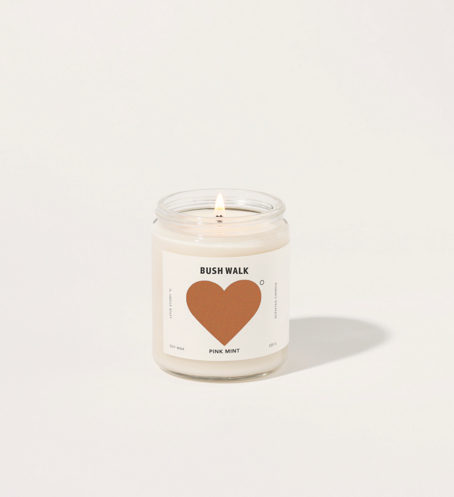 PINK MINT Soy Candle