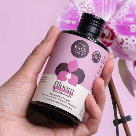We The Wild - Bloom Concentrate