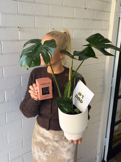 FOR THE DADS: Pot Plant & Choc Bundle