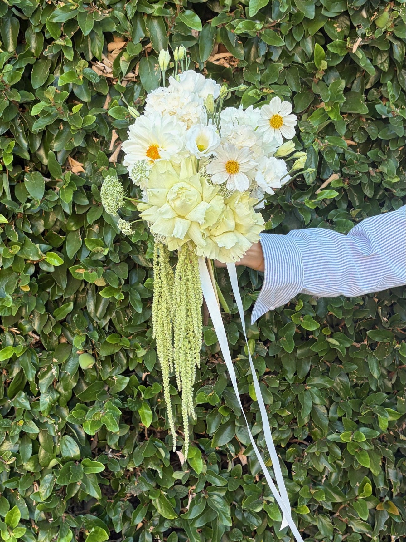 Bouquet of white flowers held against a green leafy background