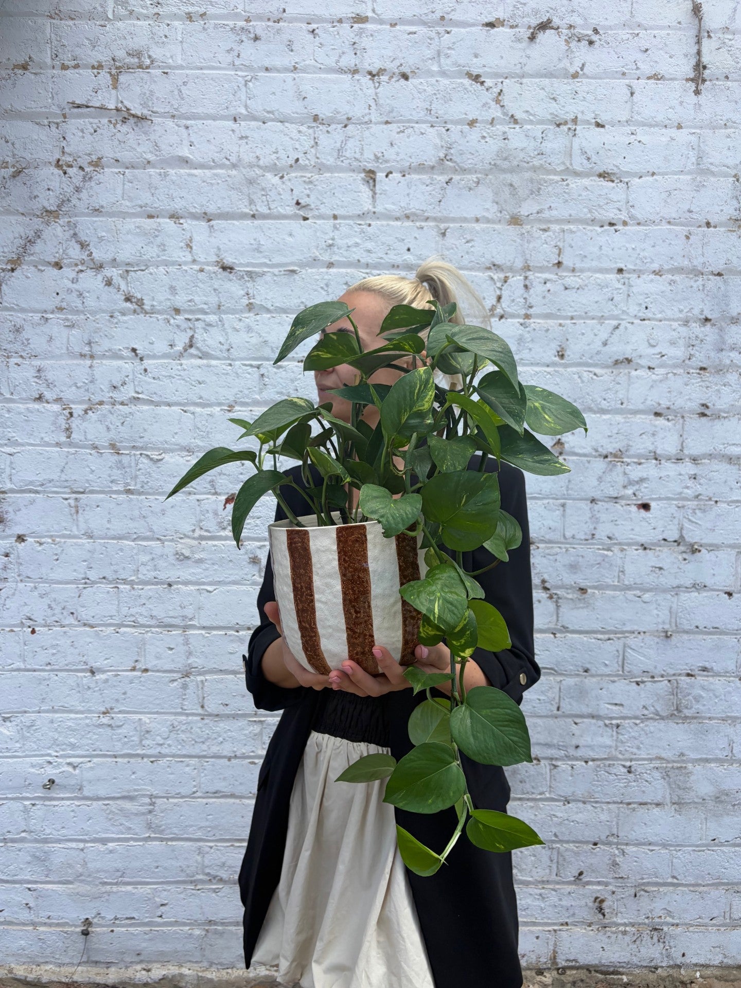 Person holding a potted plant against a light blue brick wall