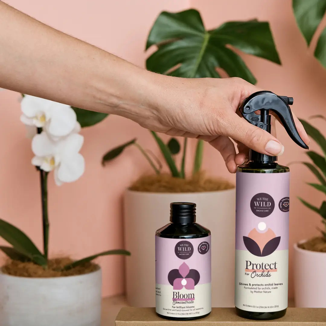 We The Wild - Orchid Care Essentials