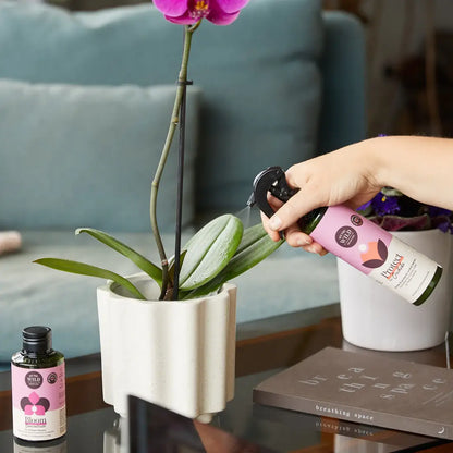 We The Wild -Orchid Protect Spray with Neem