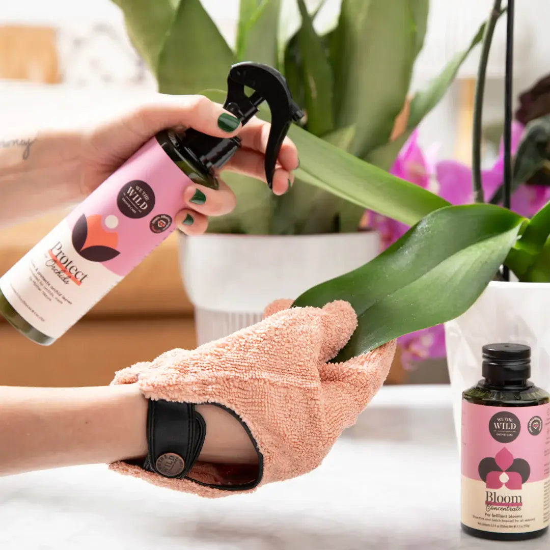 We The Wild -Orchid Protect Spray with Neem