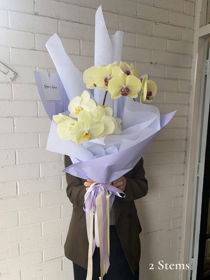 En Masse Cut Stem Orchid Bouquet