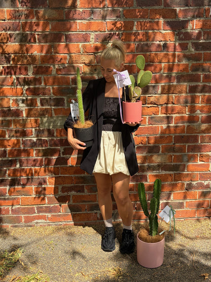 Pot Plant Pot Luck!