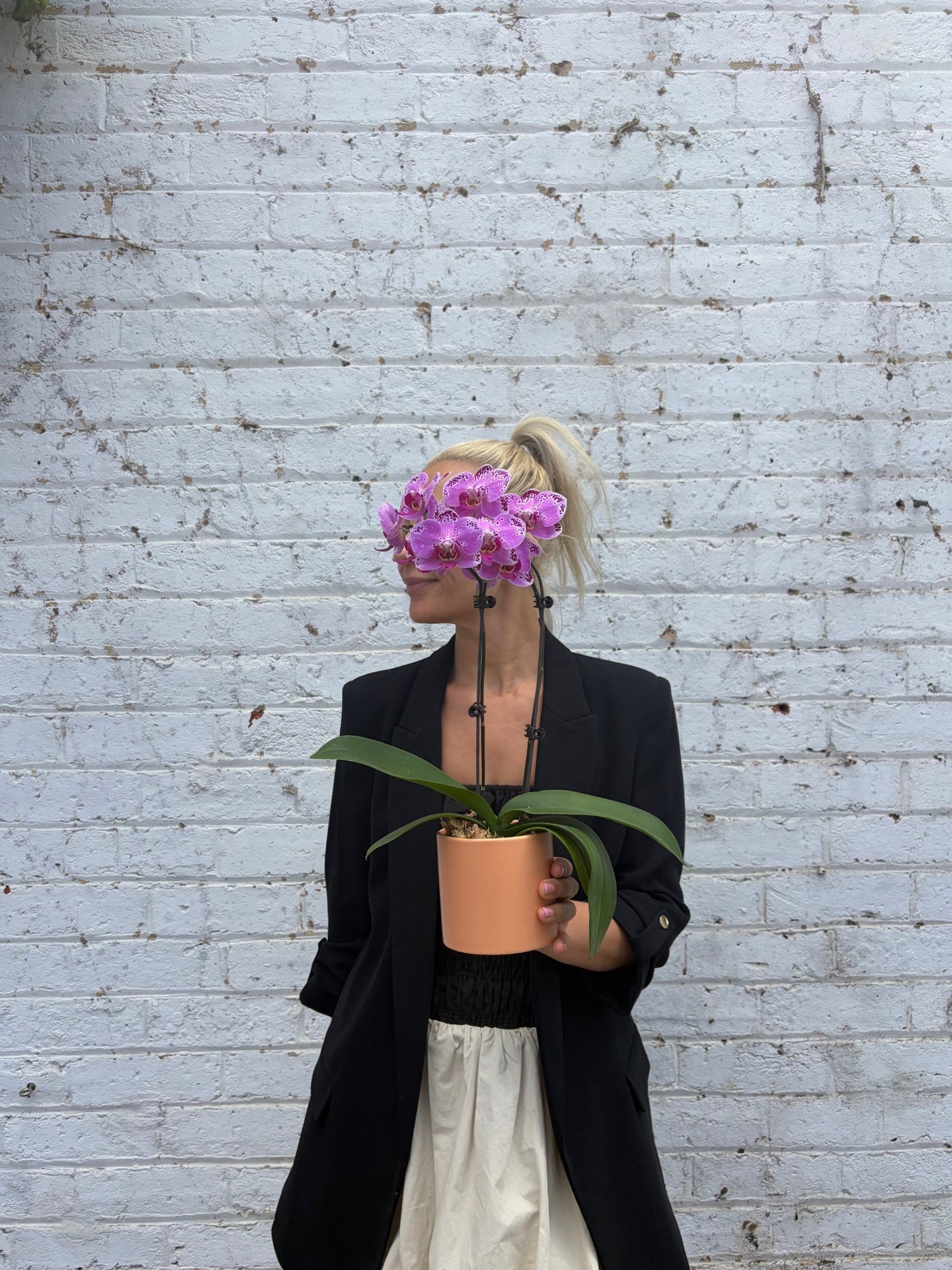 Person holding a potted orchid with a white brick wall background