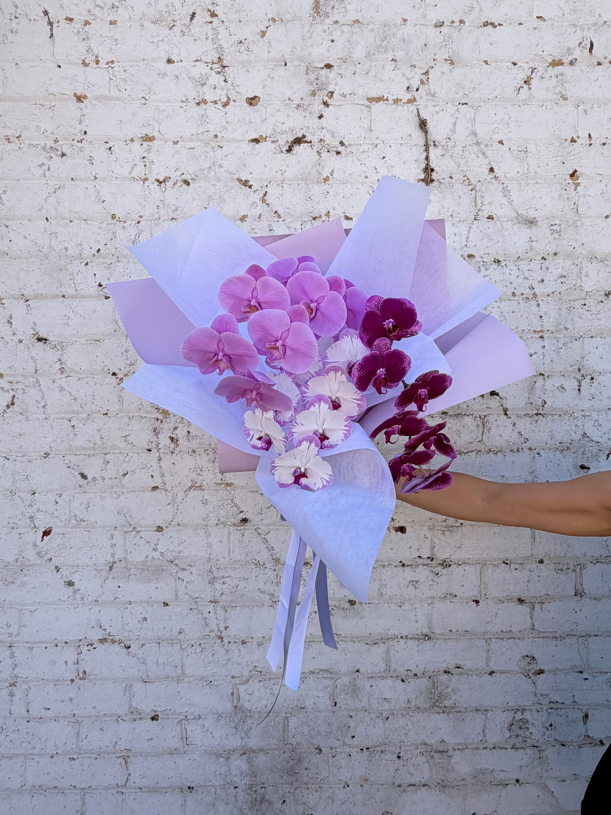 Bouquet of purple and white orchid flowers held by a person on a textured surface