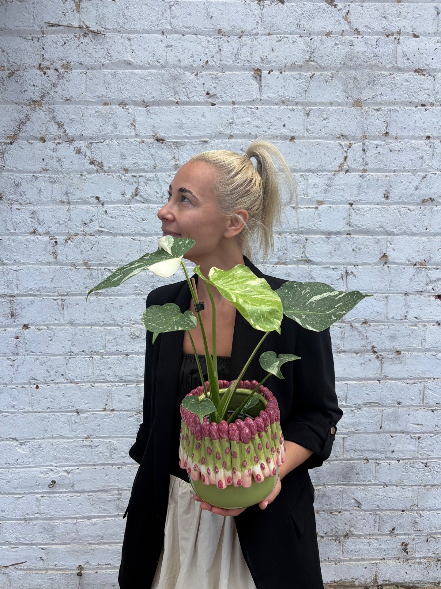 Person holding a potted plant against a white brick wall