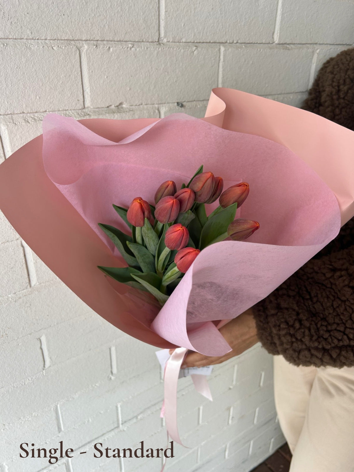 A bouquet of tulips wrapped in light pink tissue paper and a larger dusty pink wrapper, held against a white painted brick wall. The text 'Single - Standard' is visible in the bottom-left corner.